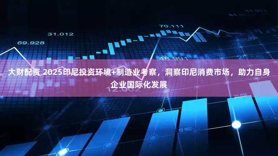 大财配资 2025印尼投资环境+制造业考察，洞察印尼消费市场，助力自身企业国际化发展