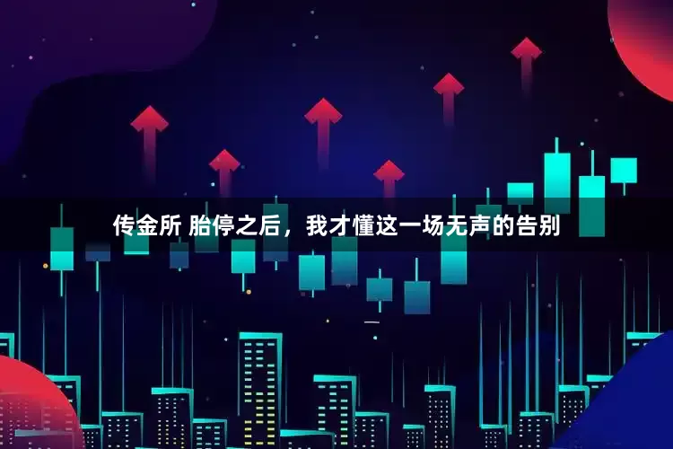 传金所 胎停之后，我才懂这一场无声的告别
